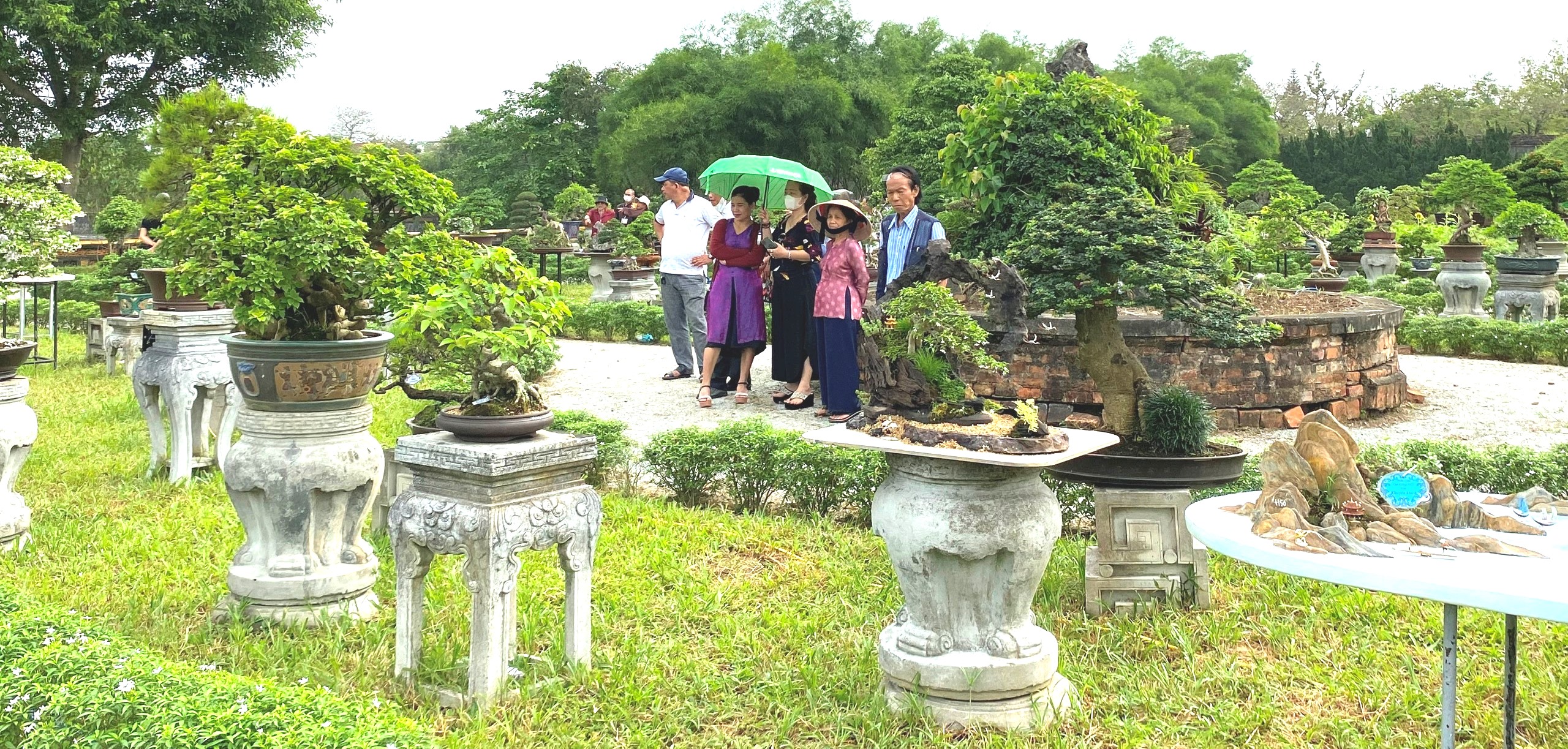 Sức hút của cây kiểng ba miền