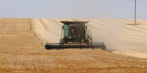 EU tạm thời cấm nhập khẩu một số lượng hạn chế sản phẩm từ Ukraine