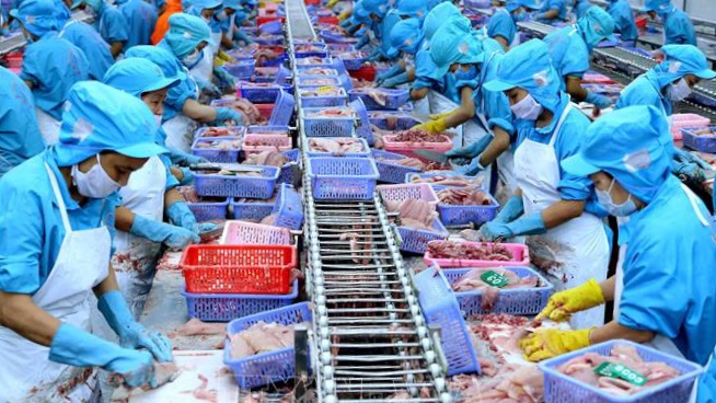 Xuất khẩu thủy sản chưa cắt được đà sụt giảm
