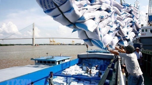 Doanh nghiệp đẩy mạnh liên kết, sử dụng trong chuỗi