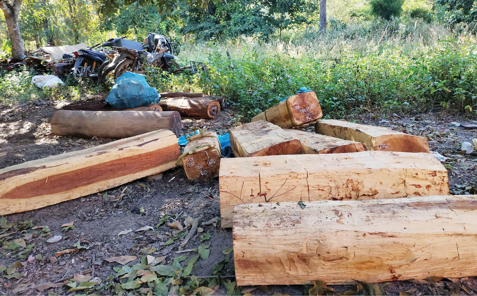 Hội chứng “không biết”