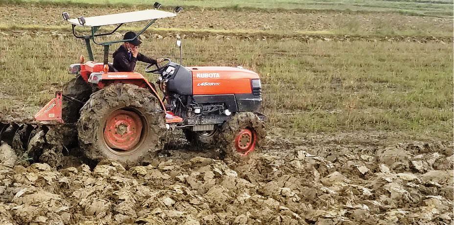 Tranh thủ làm đất, kịp thời gieo cấy lúa hè thu