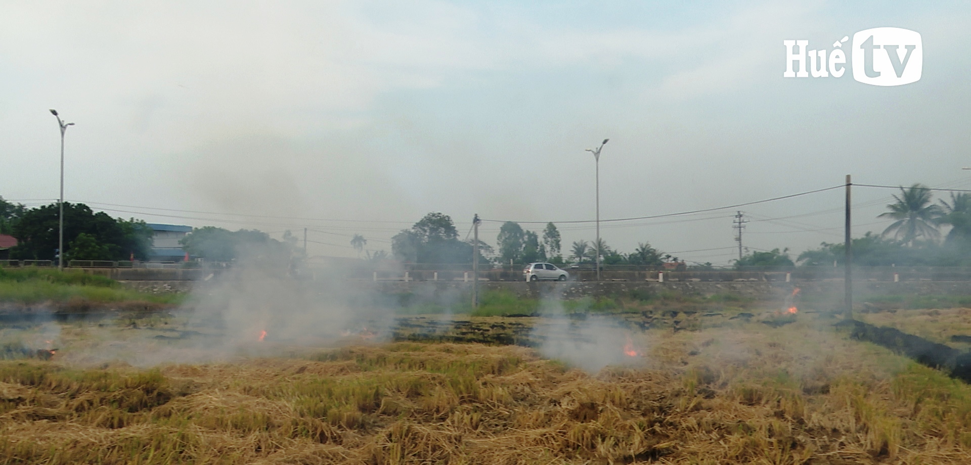 Bản tin Kinh tế ngày 13 5