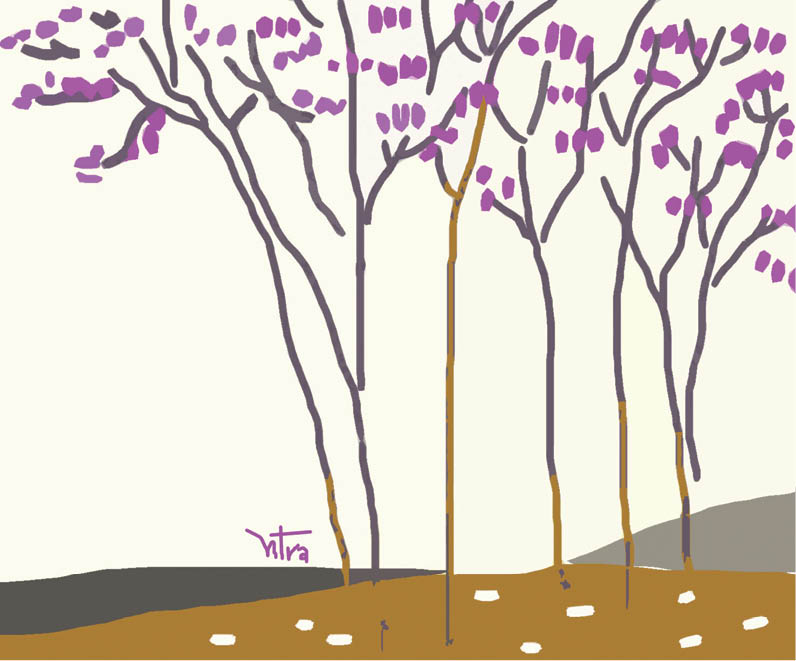 Hoa tím trời quê