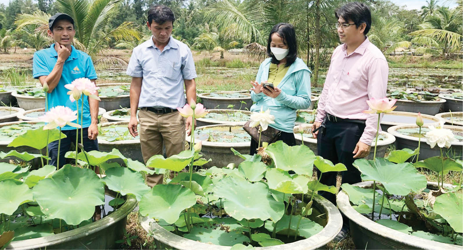 Năng động trong hỗ trợ nông dân phát triển kinh tế