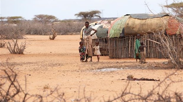 Hơn 80 số trẻ em tại Nam Phi không đọc hiểu thành thạo trước 10 tuổi