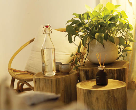 Rustic - mộc mạc nhưng không nhàm chán