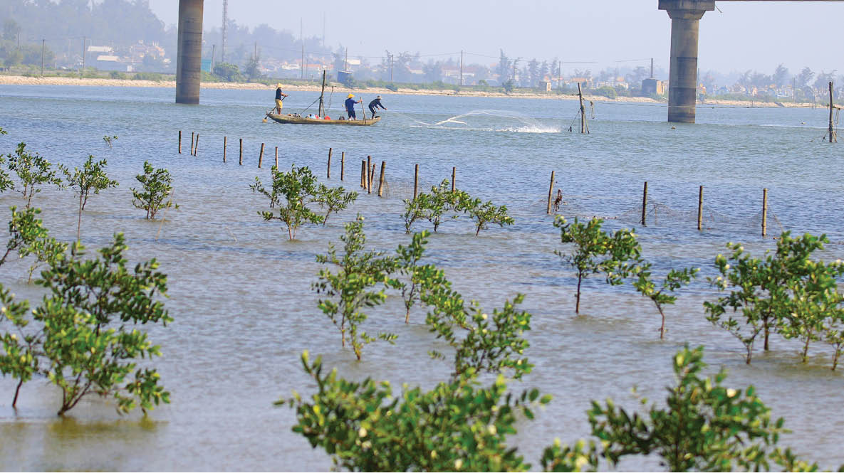 Nỗ lực bảo tồn, sống hài hòa với thiên nhiên