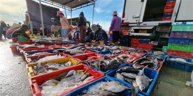 Doanh nghiệp và ngư dân nâng cao ý thức, quyết tâm gỡ thẻ vàng IUU