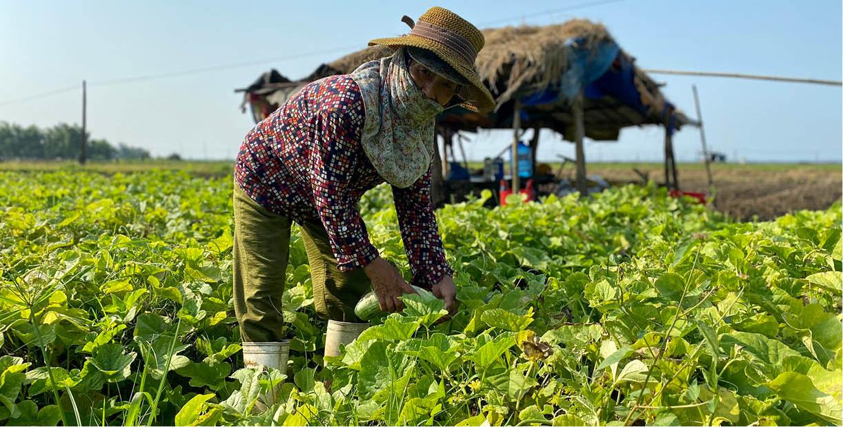 Muôn kiểu nông dân chống nắng nóng