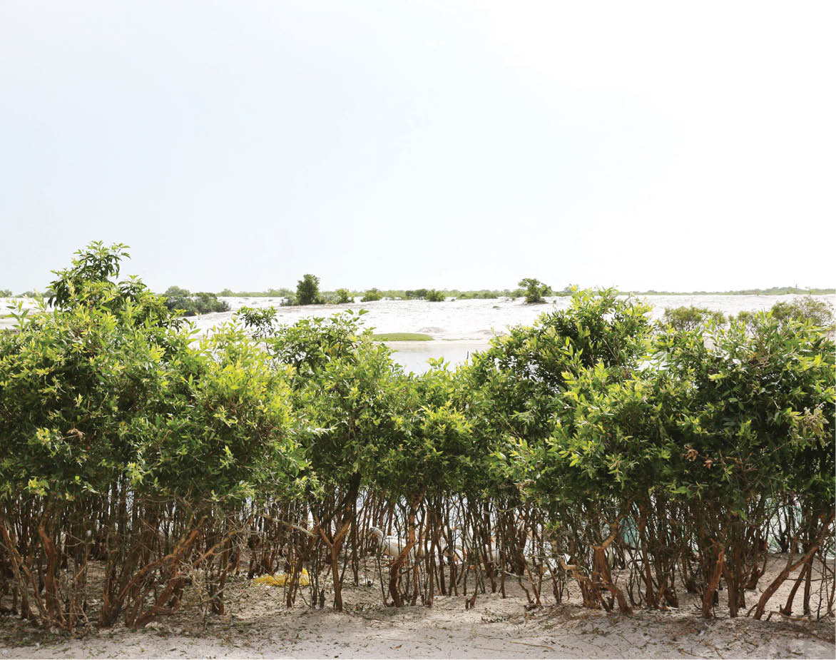 Vai trò cộng đồng trong bảo vệ đa dạng sinh học ở rú Hóa Chiêm