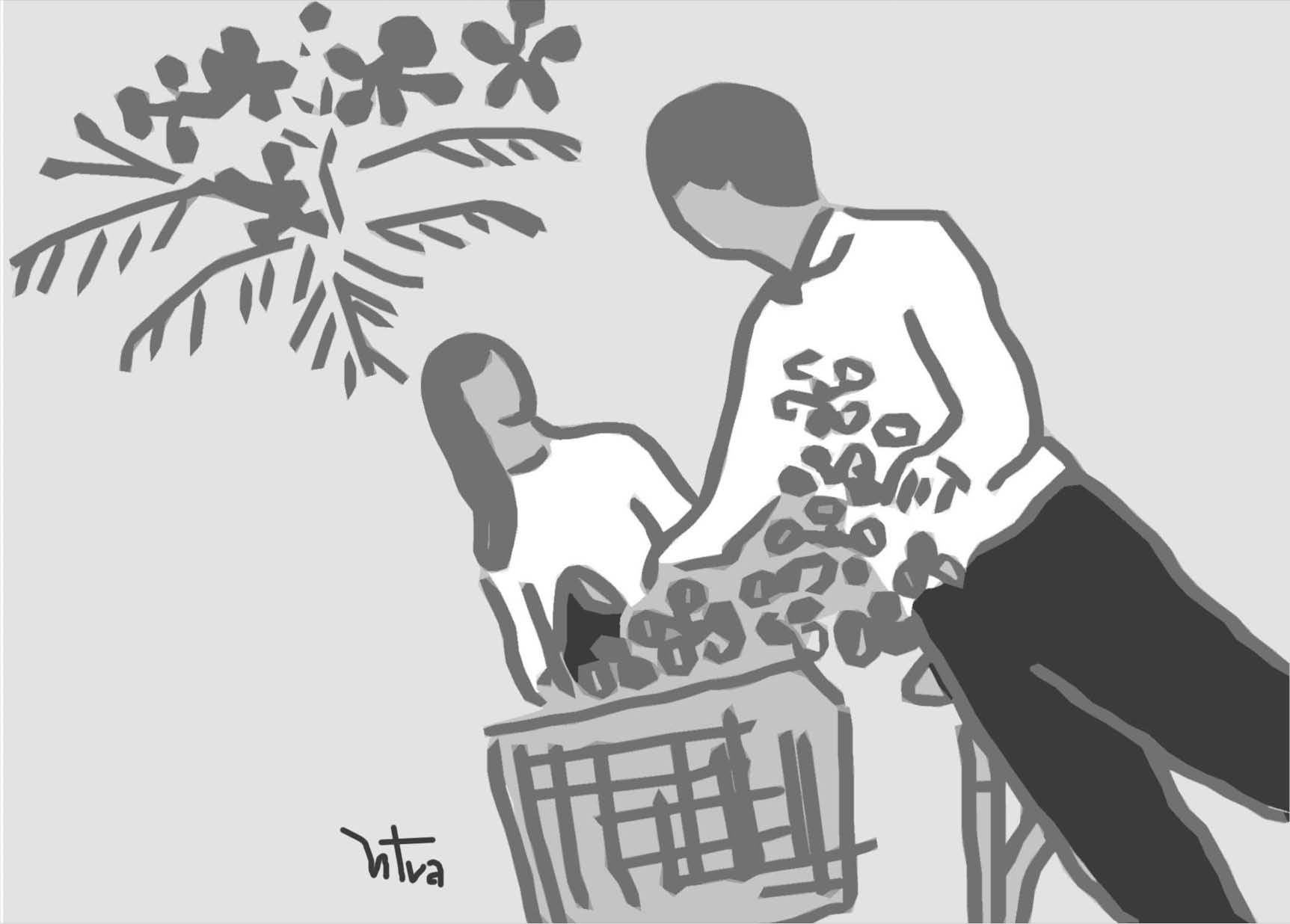 Cổ tích phượng