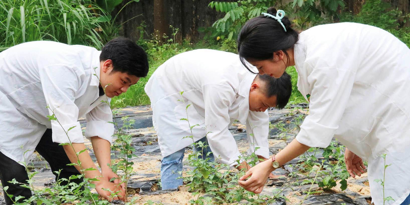 Sinh viên ngại nghiên cứu khoa học