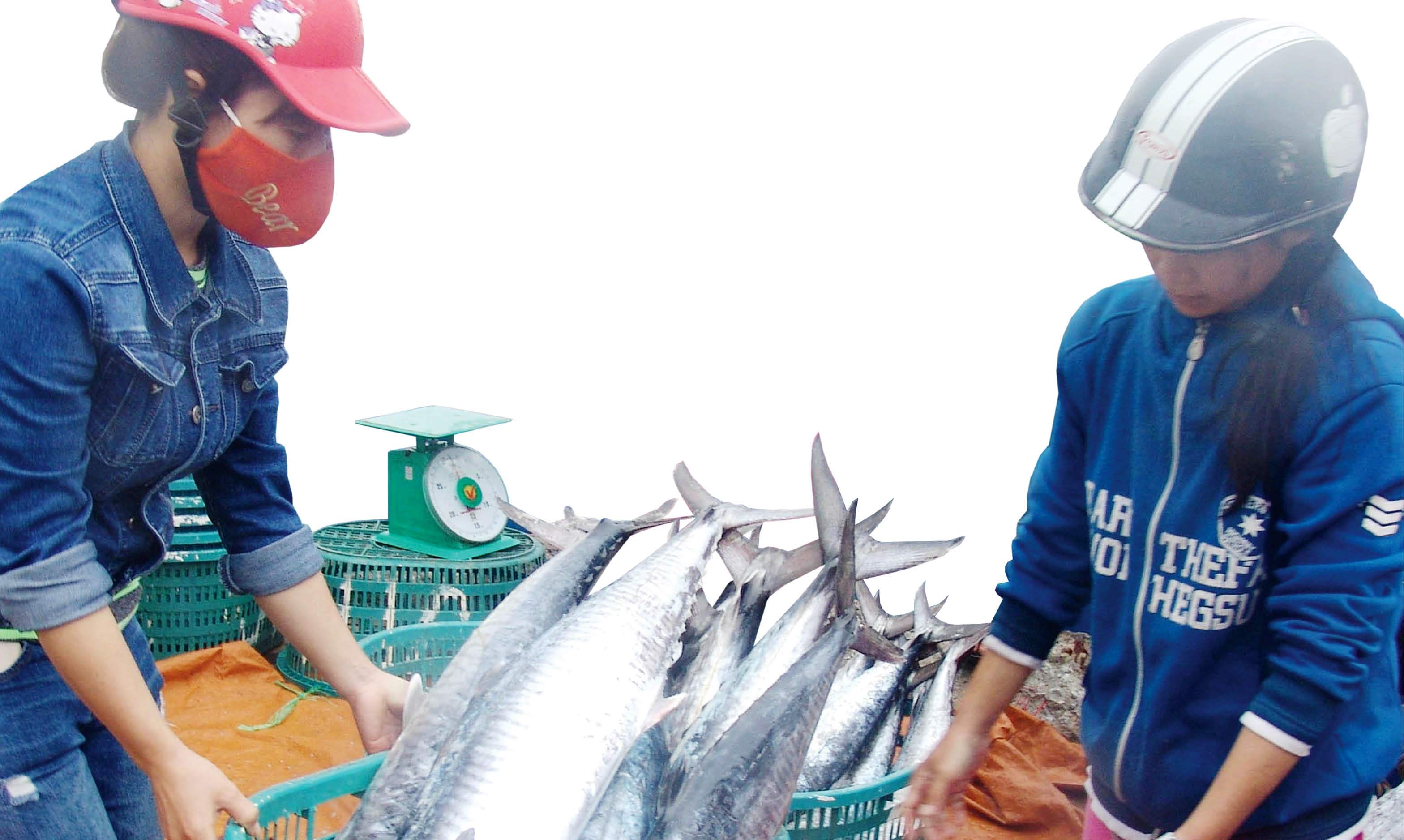 Trăn trở giấc mơ vươn khơi