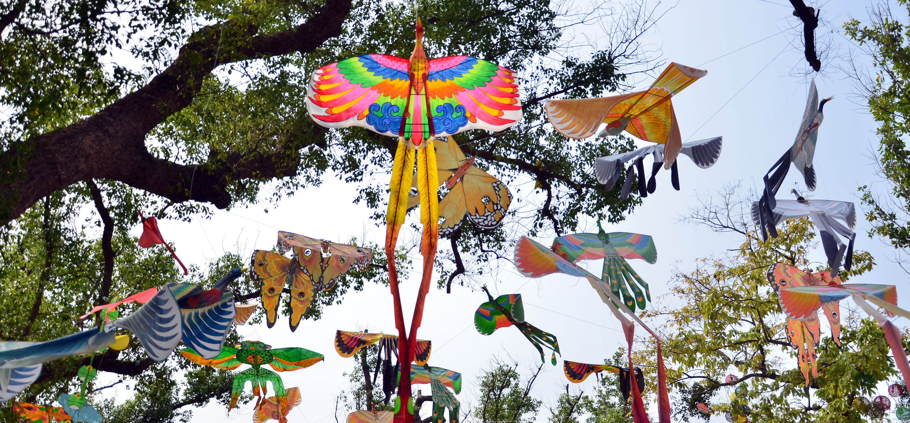 Lễ hội Diều Quốc tế 2023 diễn ra từ ngày 3-9 6