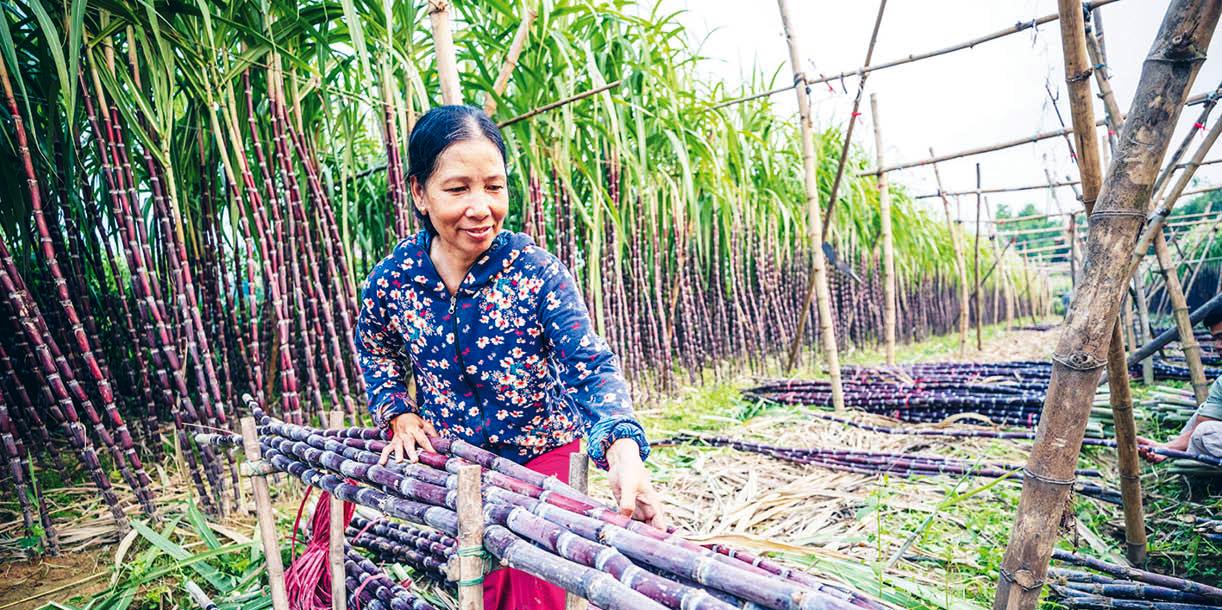 Tự tin, mạnh dạn