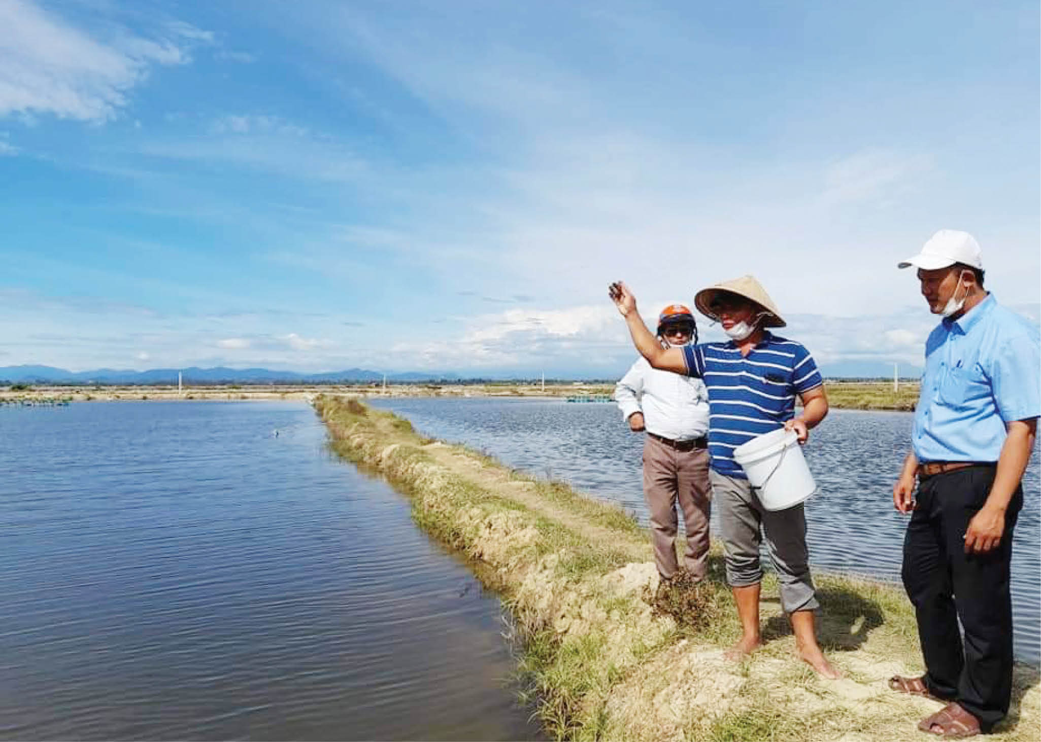 Bảo vệ cá nuôi mùa nắng nóng