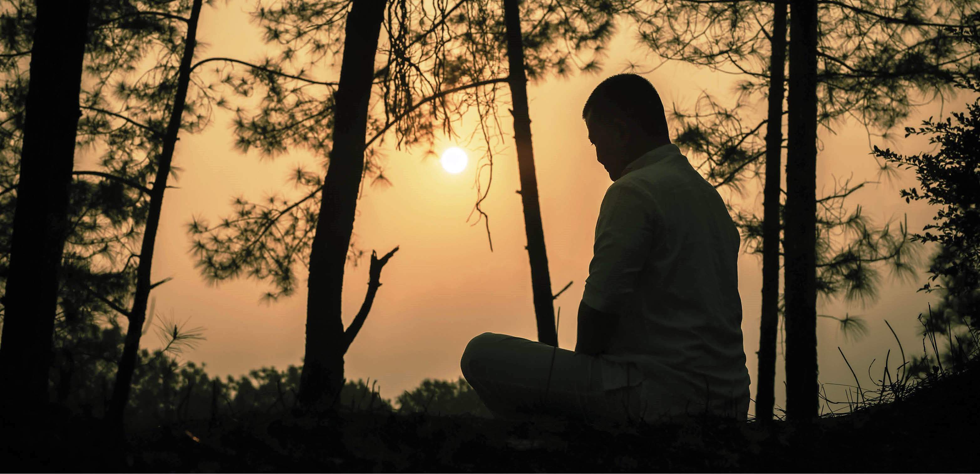 Mùa Phật đản về