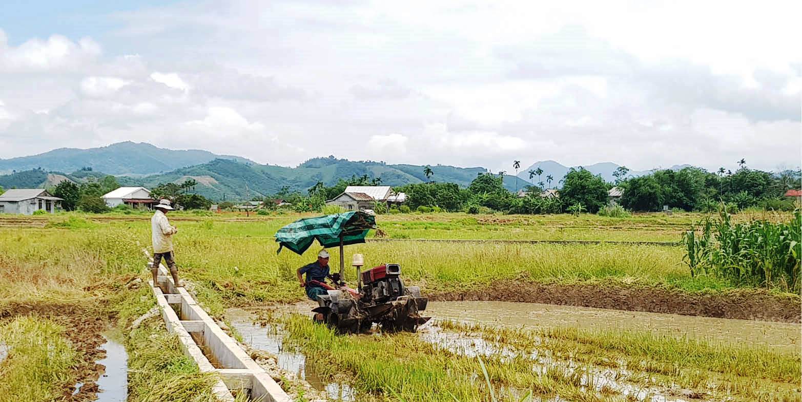 Xây dựng phương án phòng, chống hạn hán cụ thể