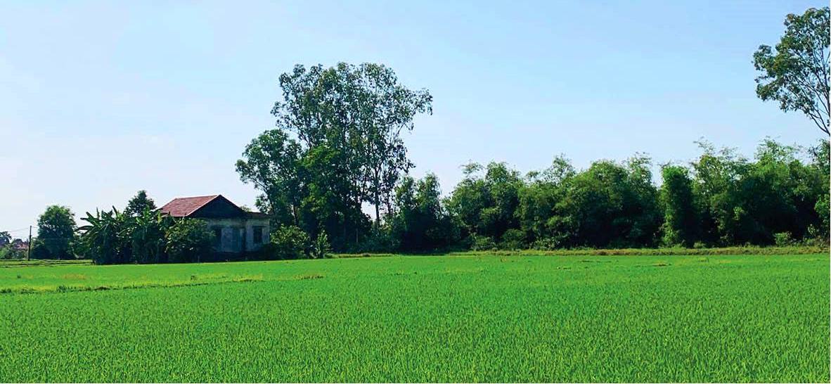 Thói quen không phải là cái dễ chỉnh sửa