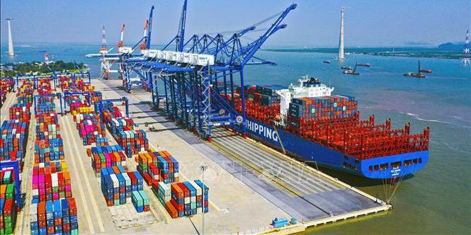 Doanh nghiệp logistics cần điều gì để đẩy nhanh chuyển đổi số