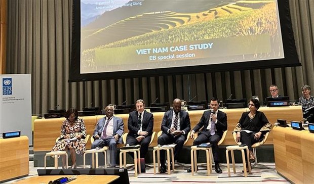 Việt Nam chia sẻ bài học thành công vượt qua khủng hoảng với UNDP