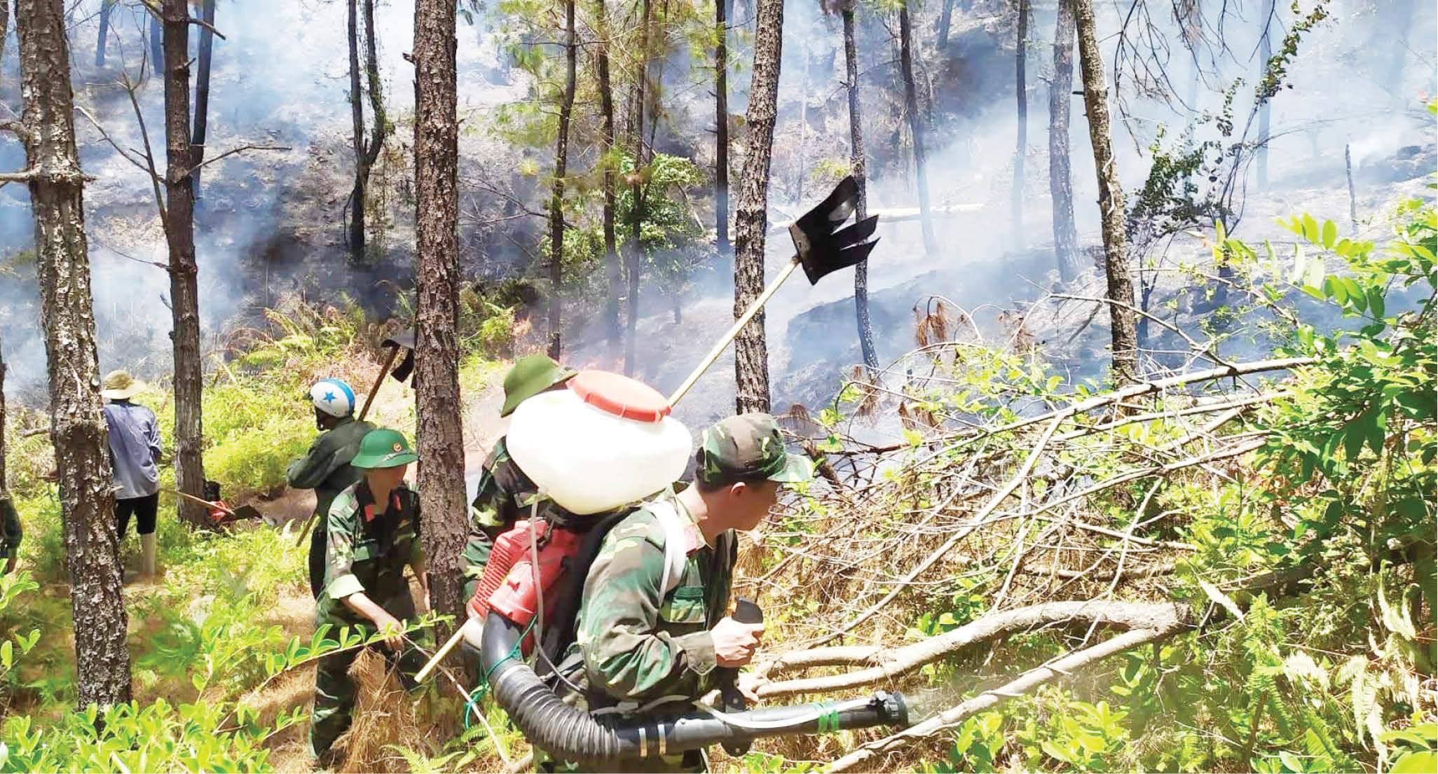 Không để xảy ra cháy rừng quy mô lớn
