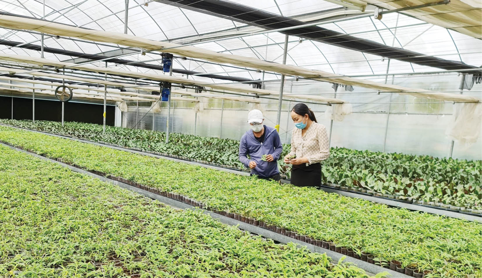 Sáng tạo từ thực tiễn