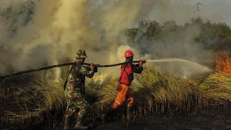 El Nino đã chính thức xuất hiện, làm dấy lên lo ngại về thời tiết khắc nghiệt