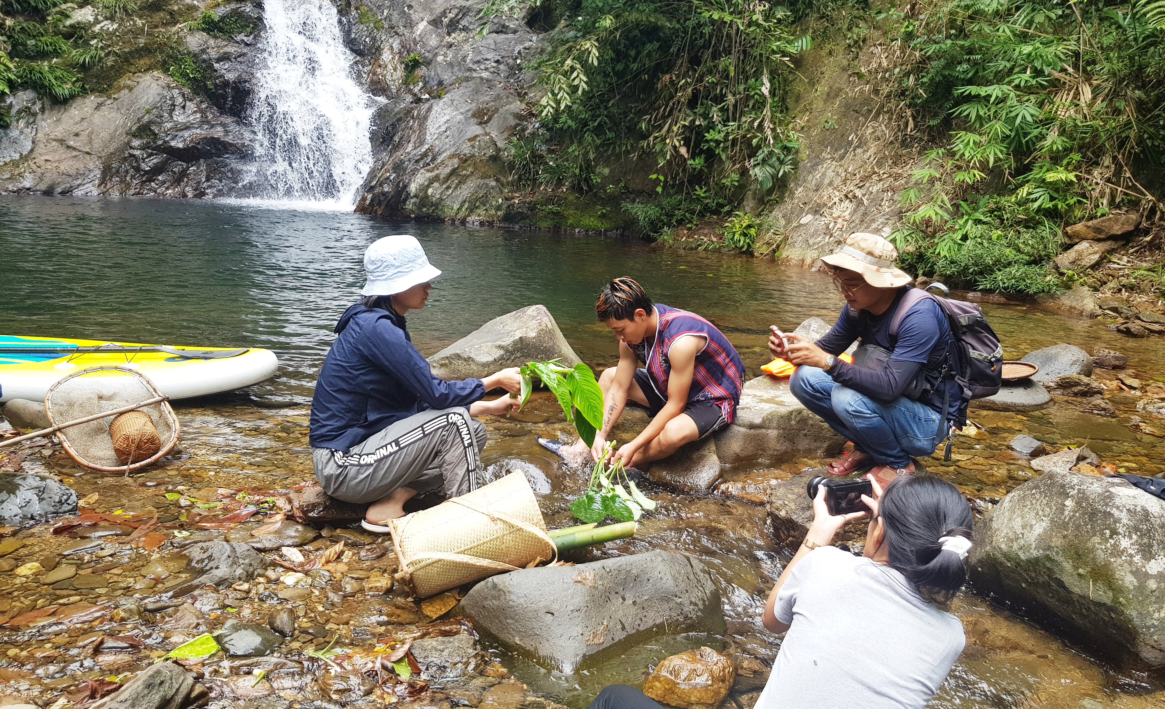 Khám phá rừng nguyên sinh