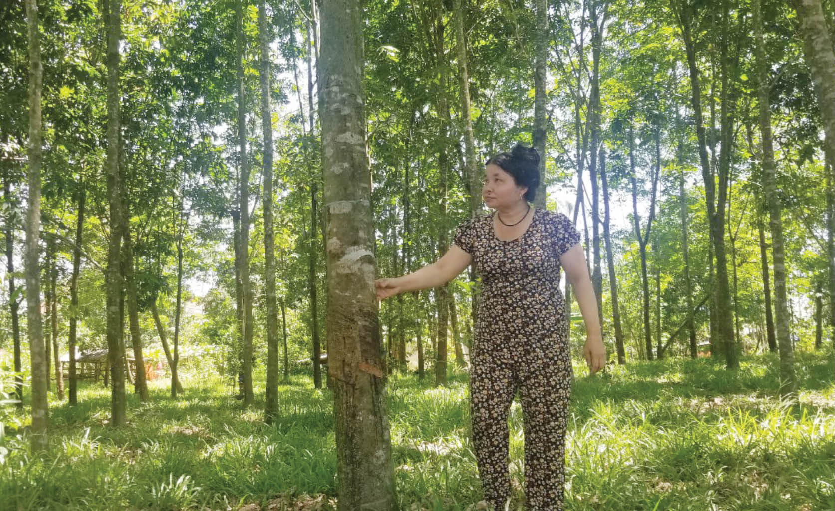 Giải quyết dứt điểm vướng mắc tại thủy điện Thượng Nhật