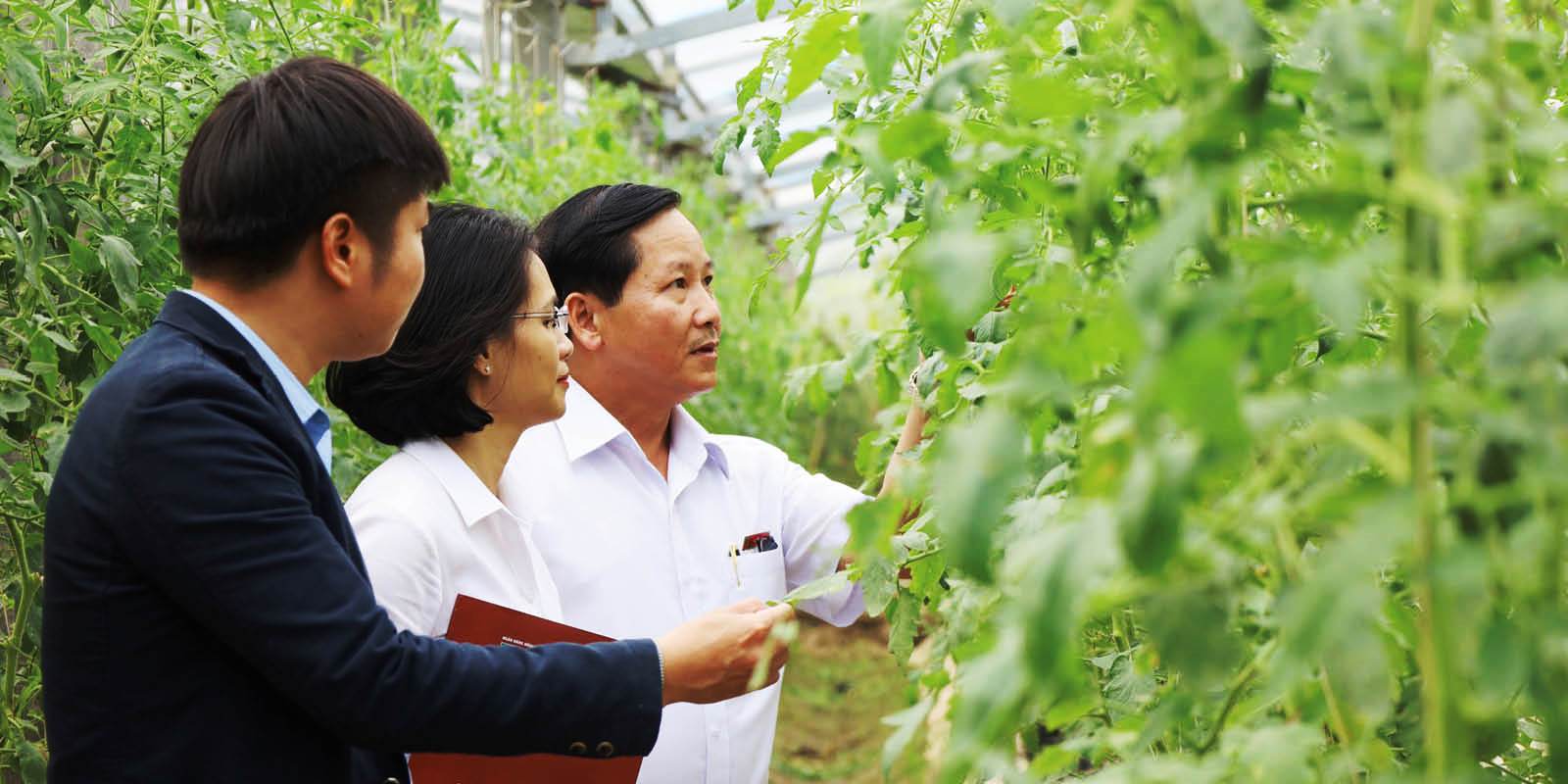 Cần có tiếng nói chung trong tiếp cận tín dụng