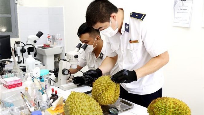 Cứu mạng sống với tiêu chuẩn an toàn thực phẩm