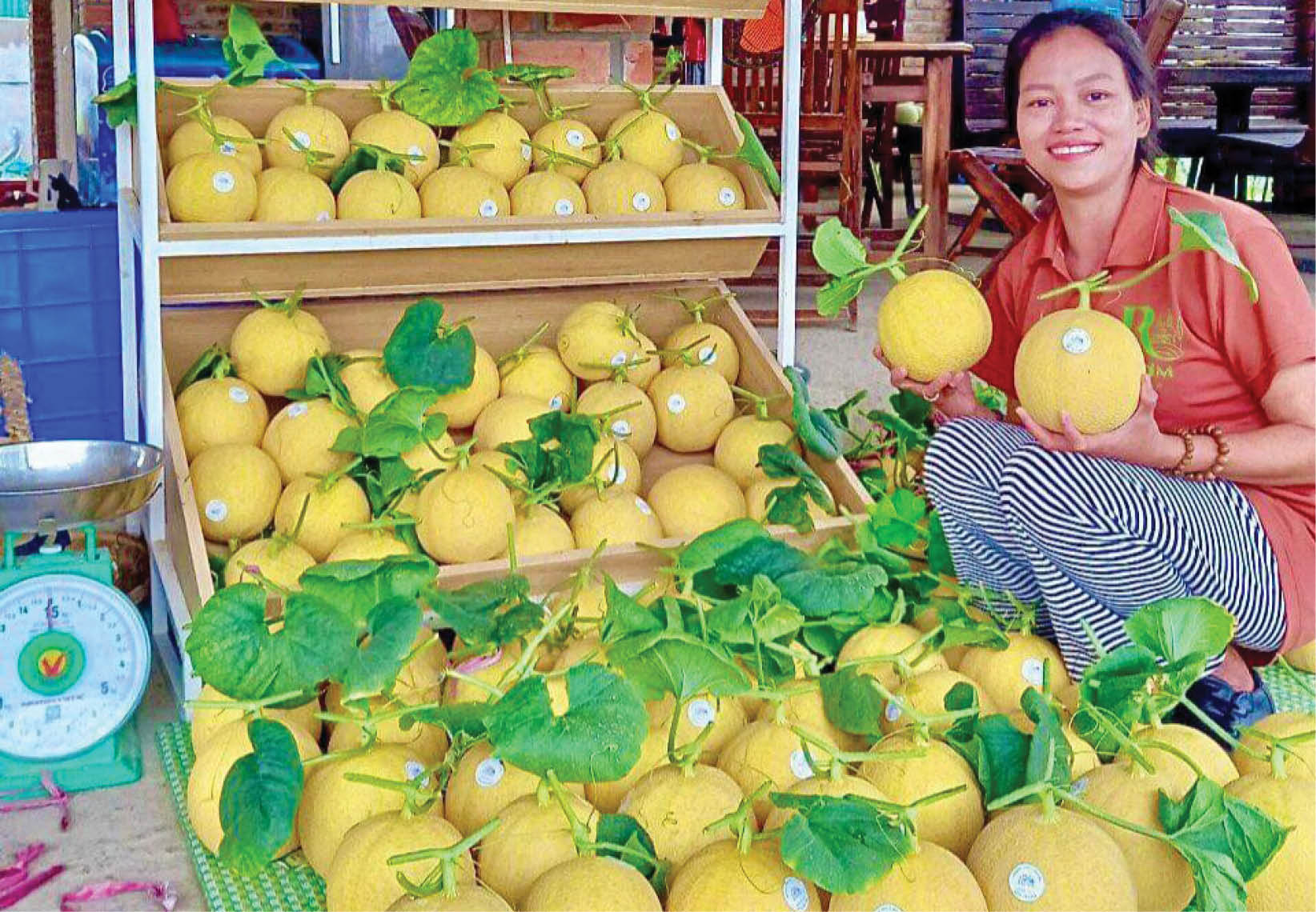 Phát triển sản phẩm nông nghiệp chủ lực theo hướng bền vững