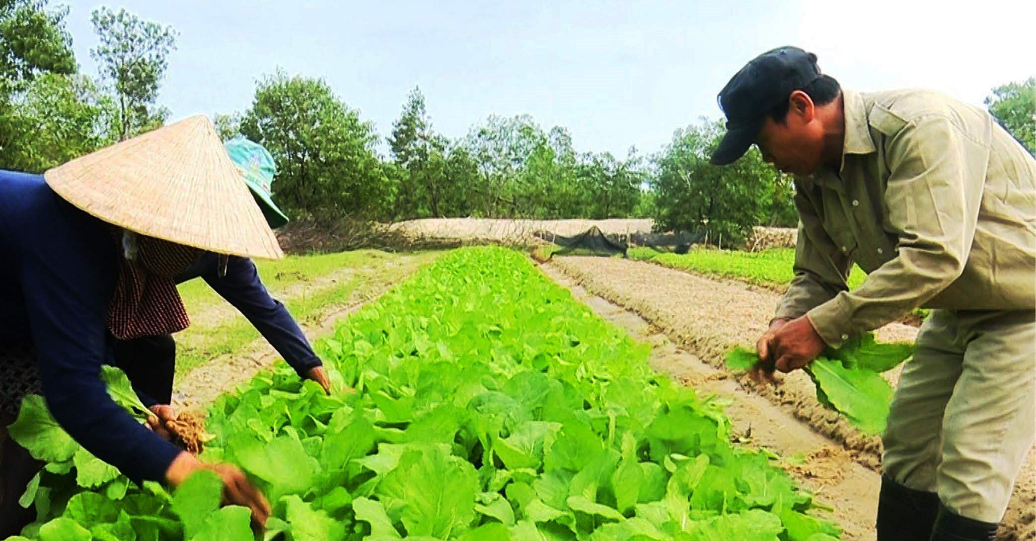 Phát triển bền vững trên nền tảng kinh tế xanh