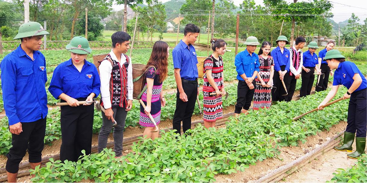 Tạo nguồn cho Đảng từ trí thức trẻ tình nguyện