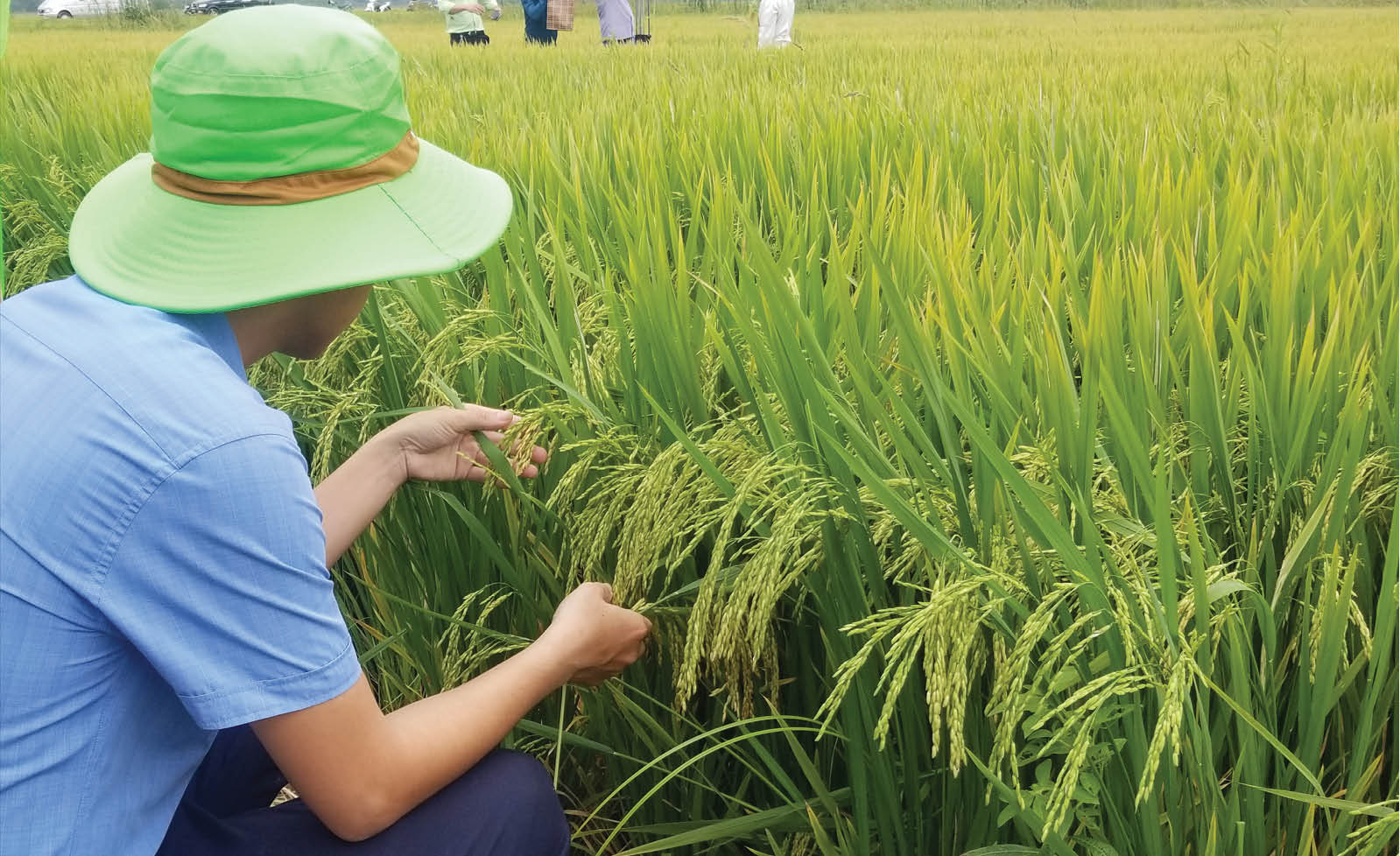 Gắn chất lượng với quảng bá sản phẩm