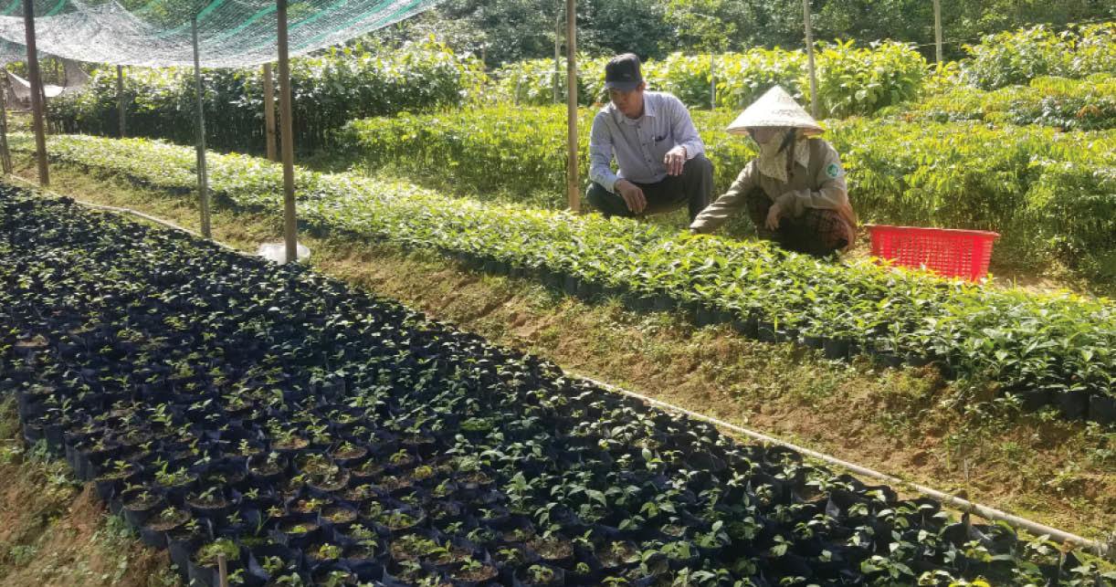 Hợp tác xã ứng phó biến đổi khí hậu