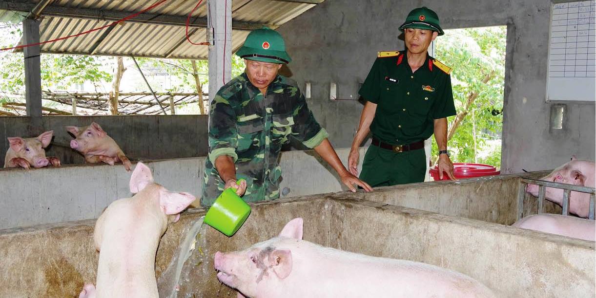 Nhiều mô hình tăng gia sản xuất
