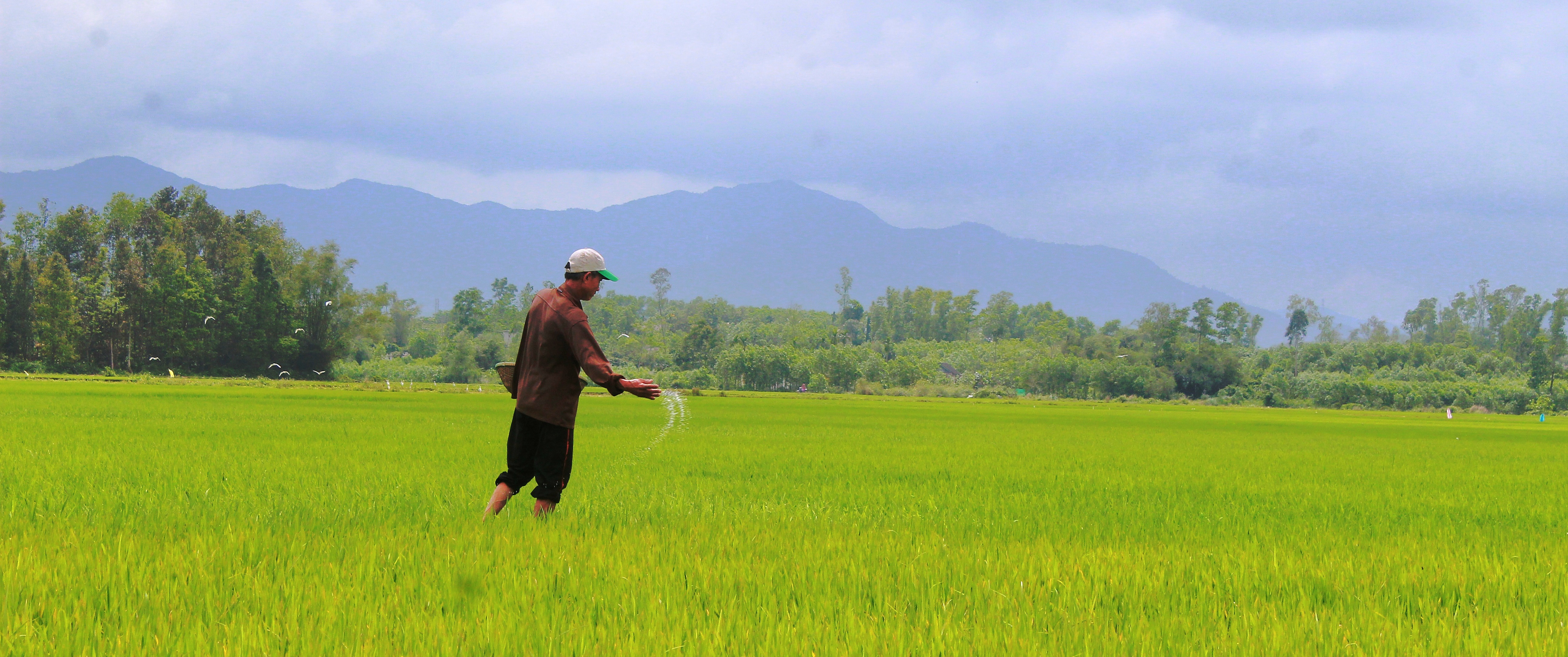 Tuyên truyền chính sách, pháp luật về bảo hiểm xã hội, bảo hiểm y tế