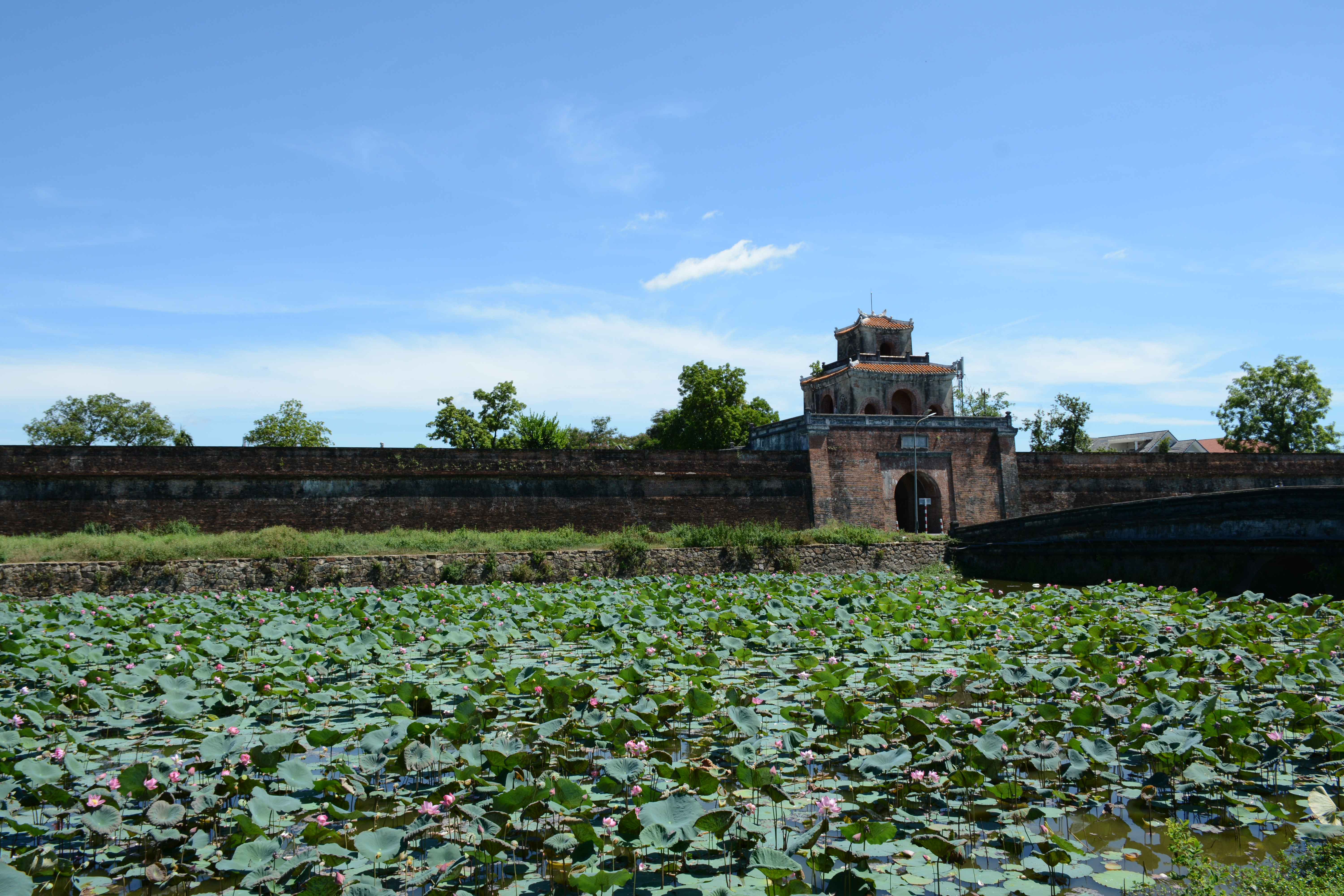 Phải chấm dứt tình trạng xả rác, xâm hại cảnh quan di tích