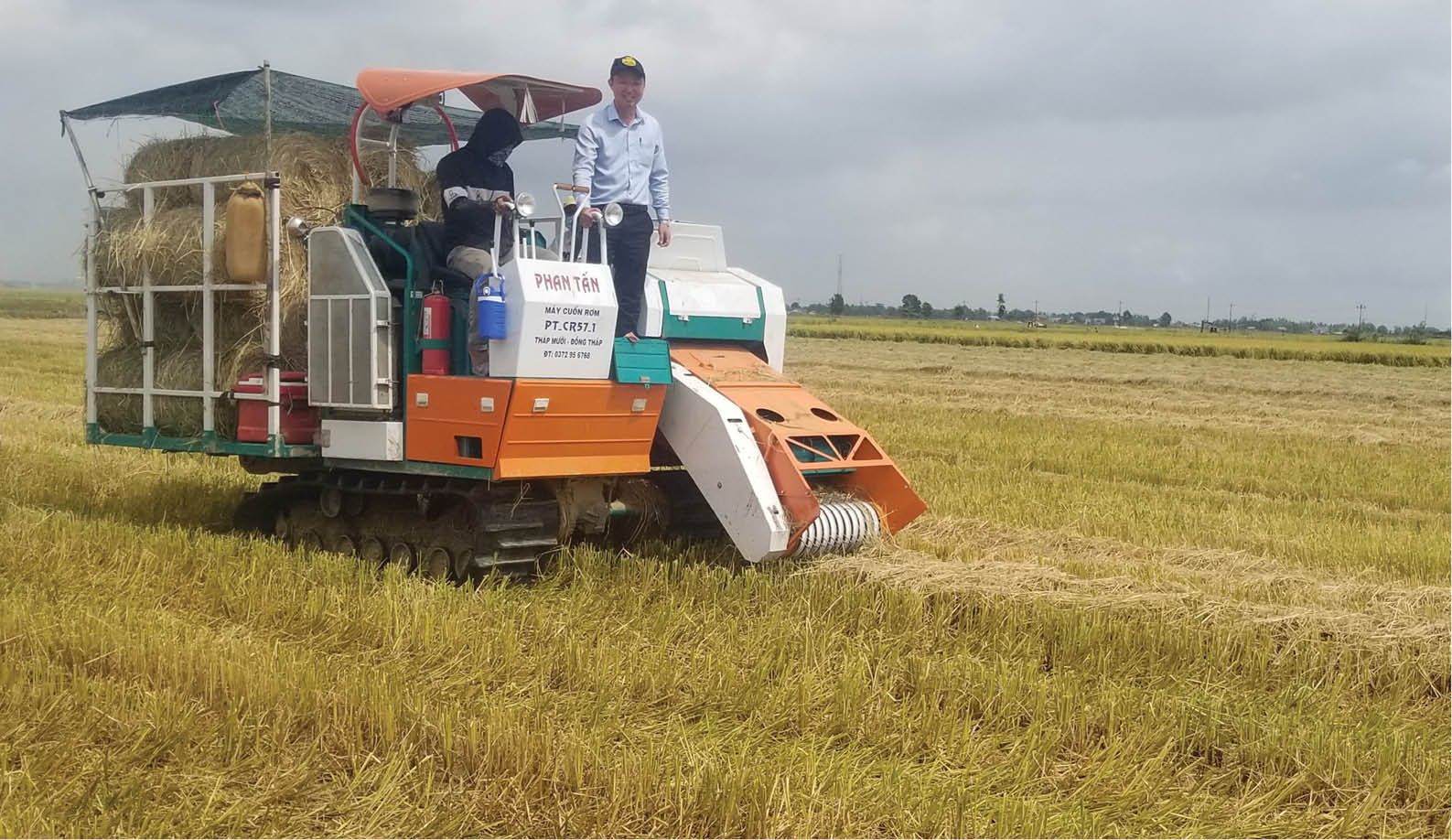 Diện mạo nông thôn mới