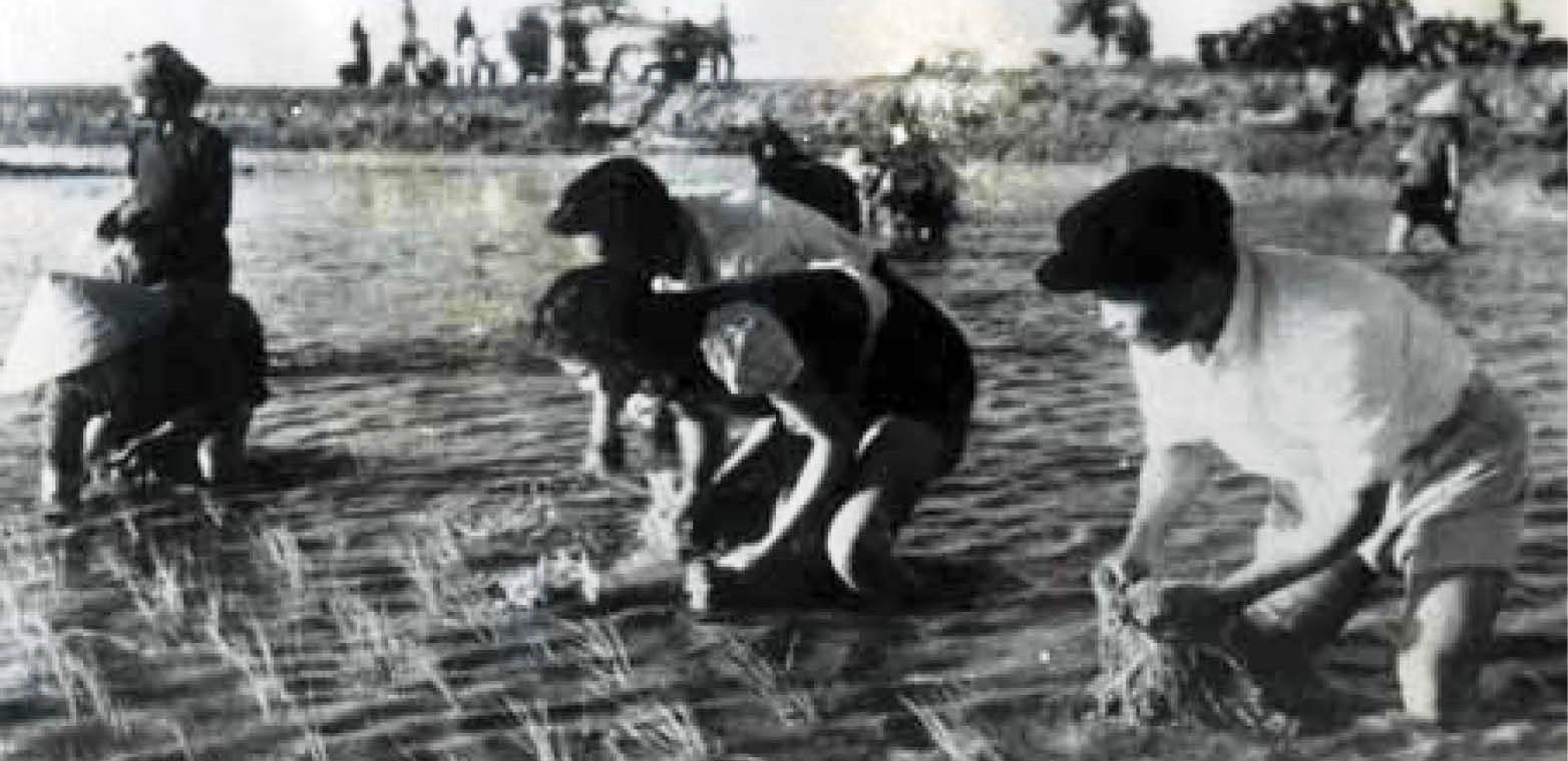 Nguyễn Chí Thanh - Đại tướng của nông dân