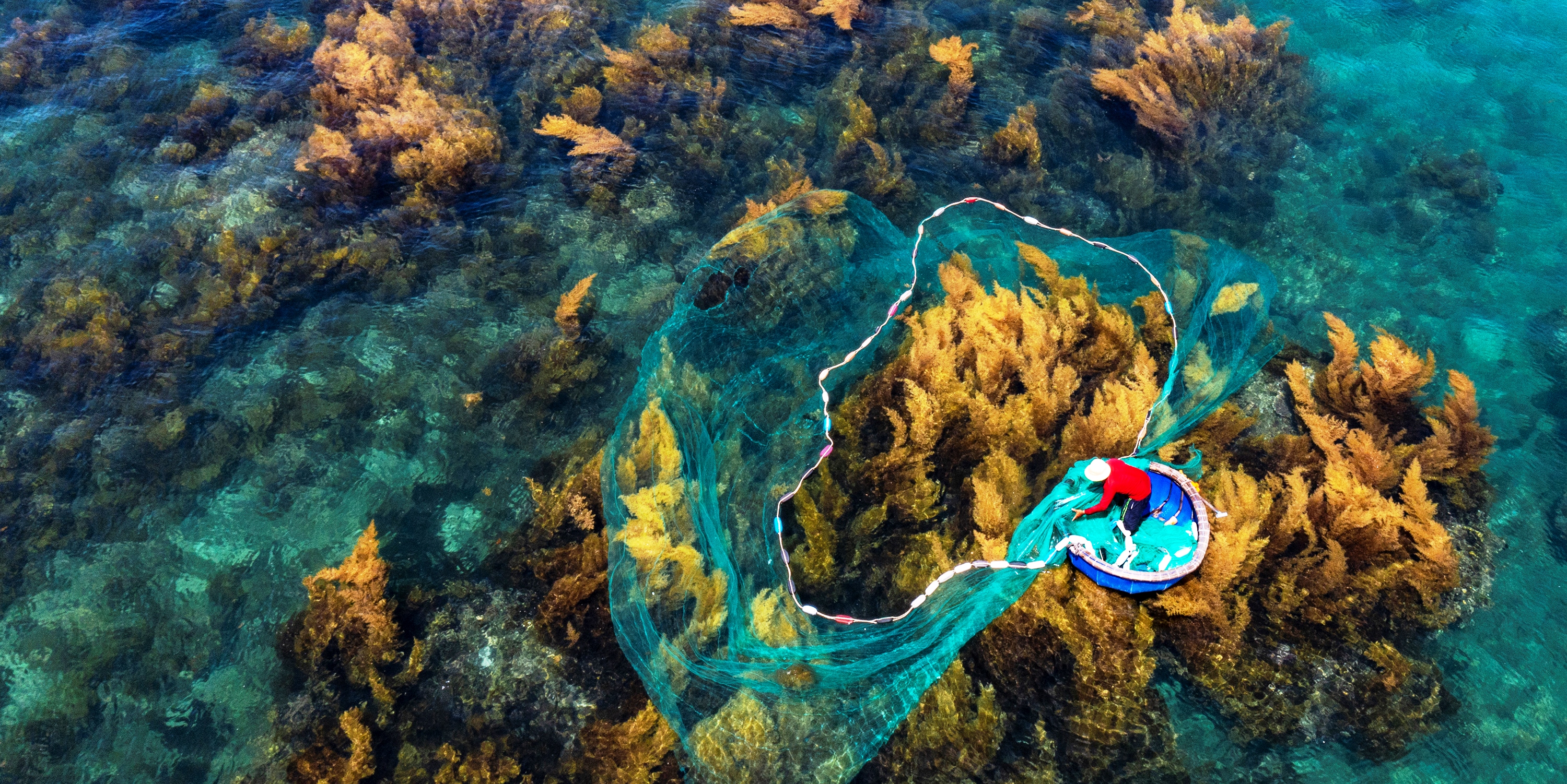 Bản tin Văn hóa - Du lịch ngày 29 6