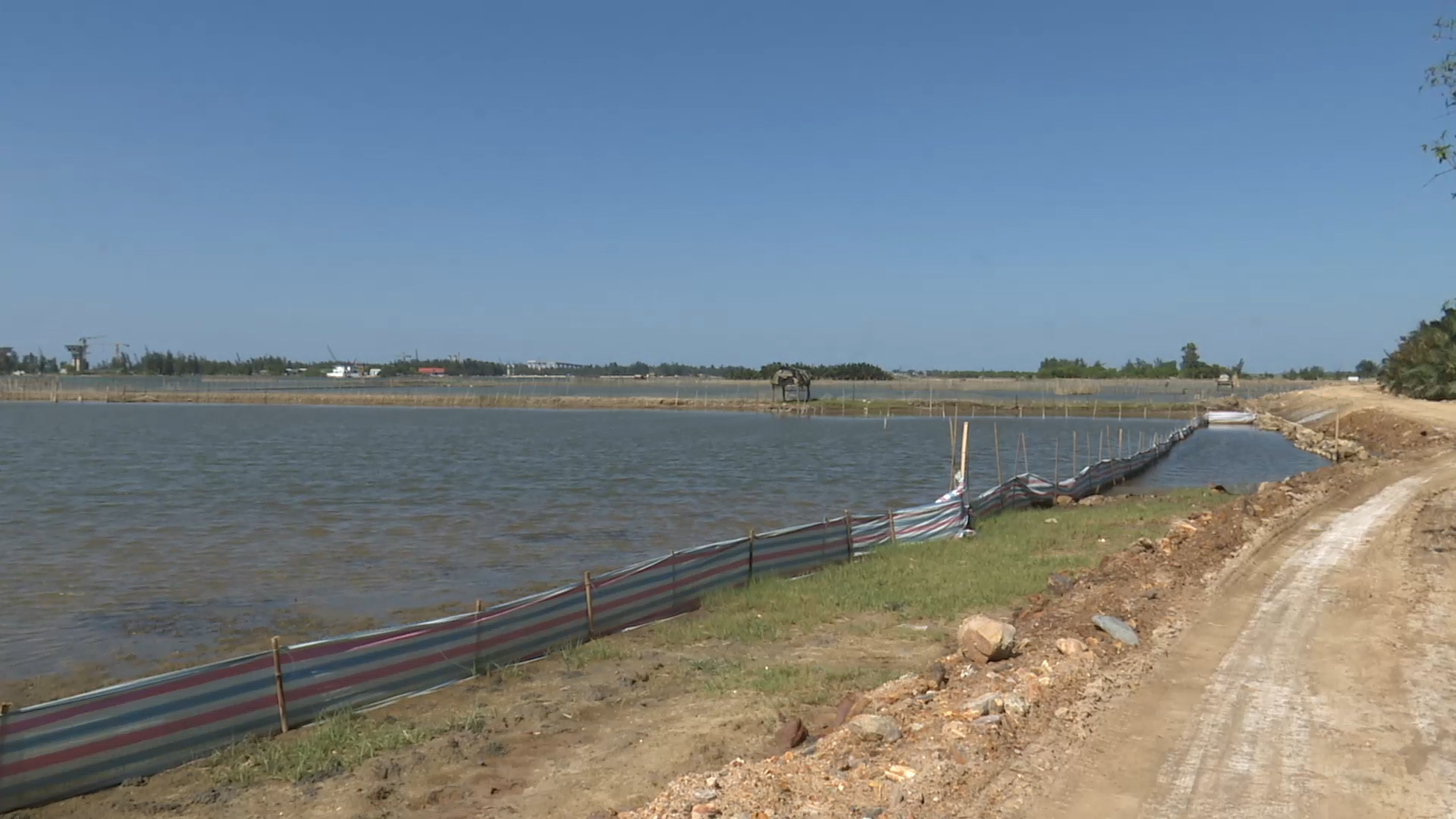 Bản tin kinh tế ngày 1 7