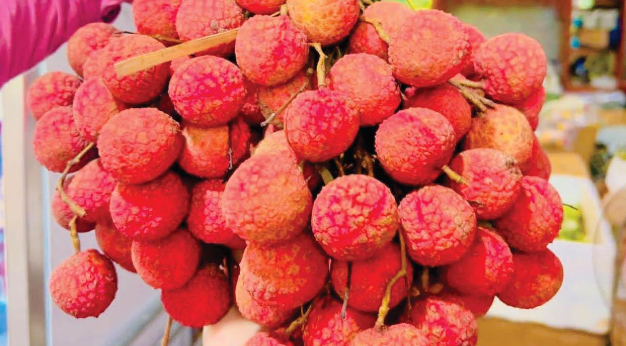 Ngậm ngùi cho dân mình