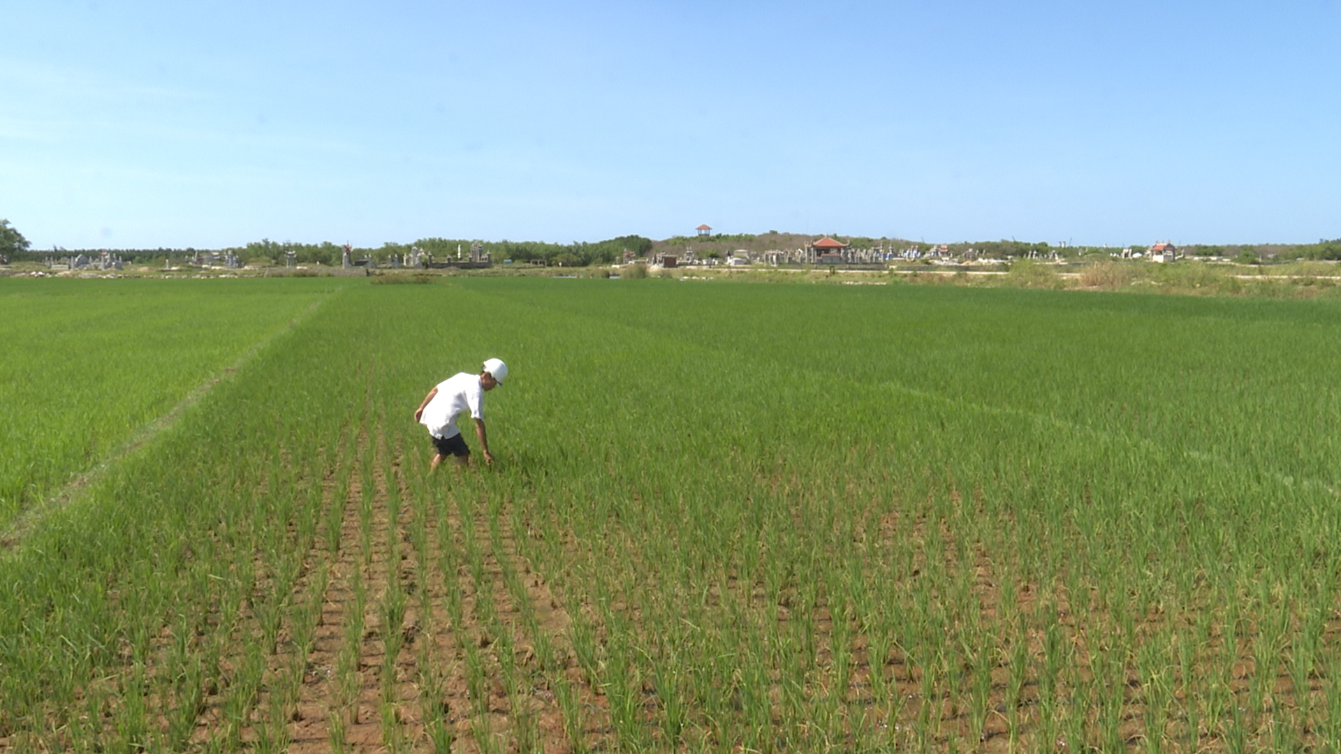 Ứng phó hạn mặn vùng đầm phá