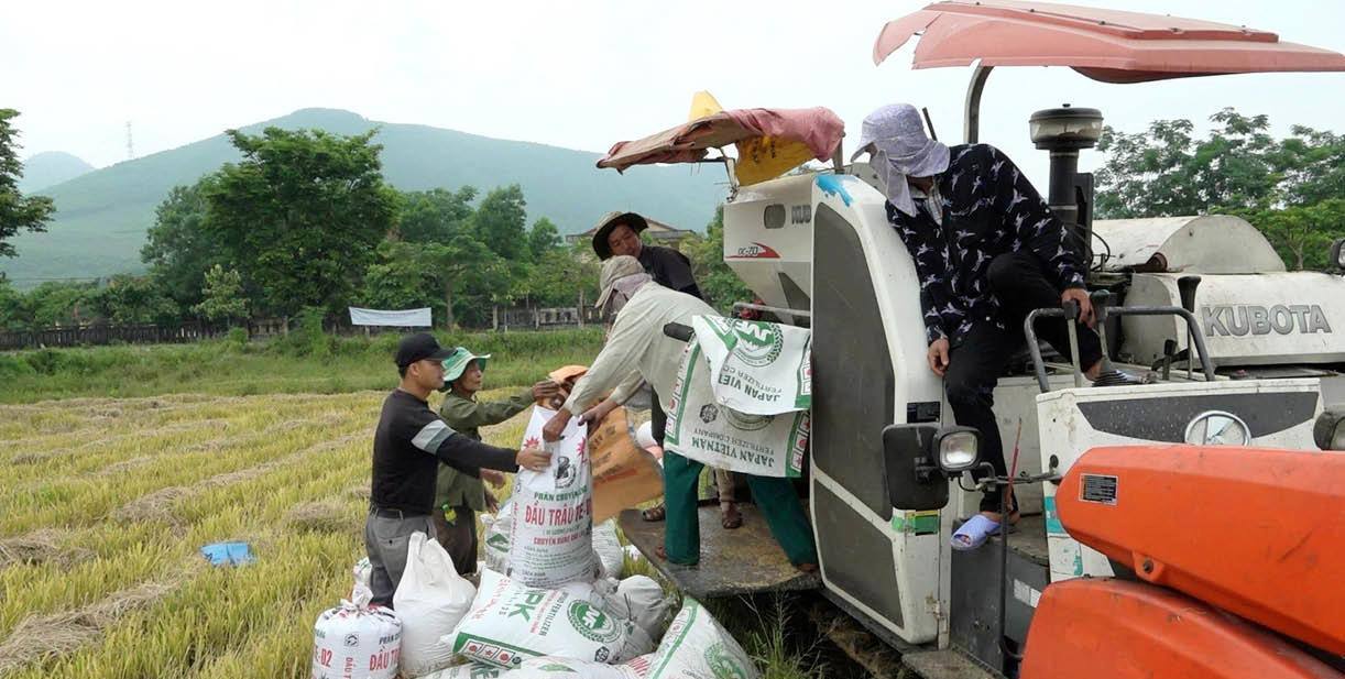 Nhân rộng những mô hình thoát nghèo bền vững