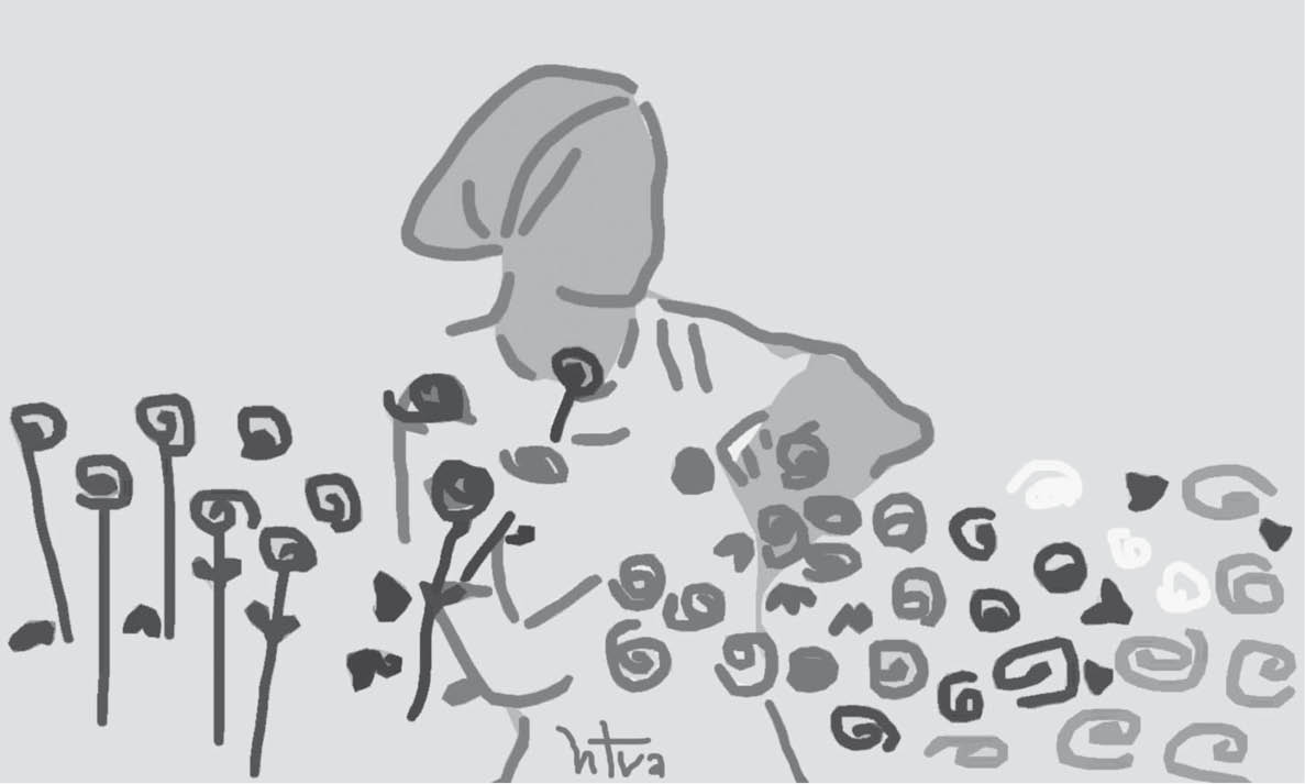 Vườn chậu mãi xanh