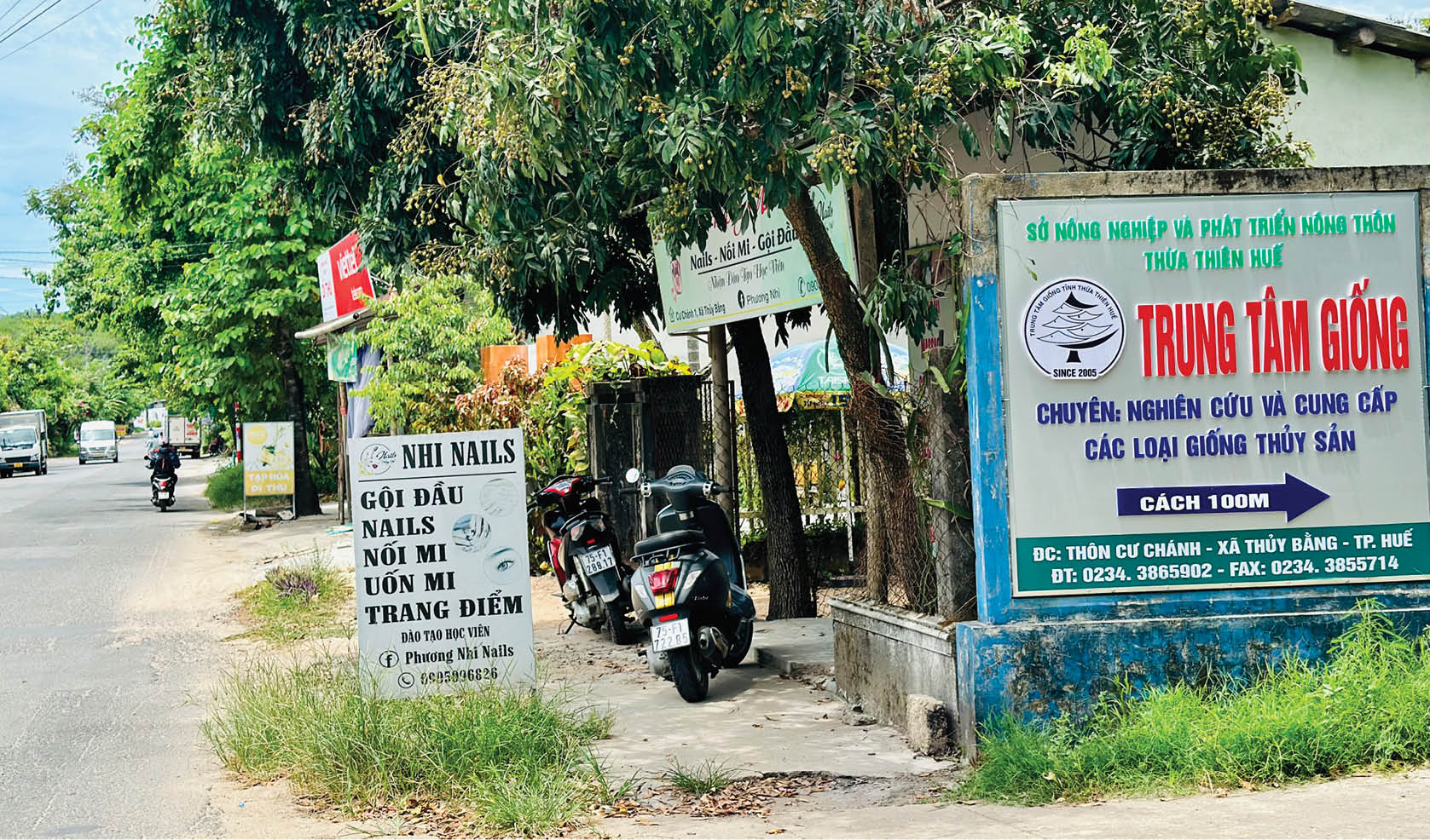 Lên thành phố và lên bảng tên đường